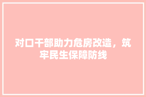 对口干部助力危房改造，筑牢民生保障防线 建筑设计
