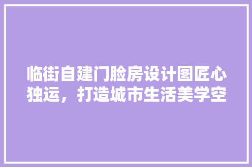 临街自建门脸房设计图匠心独运，打造城市生活美学空间 装修攻略