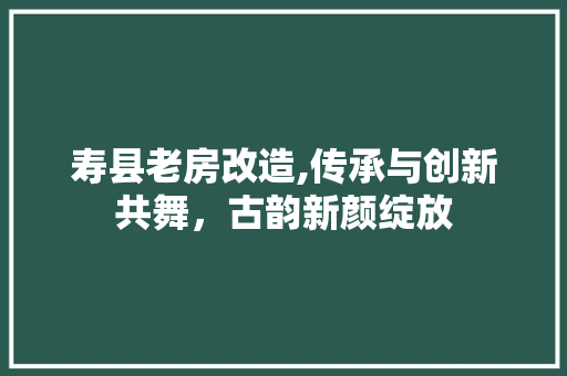 寿县老房改造,传承与创新共舞，古韵新颜绽放