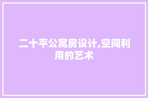 二十平公寓房设计,空间利用的艺术