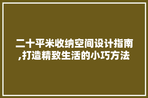 二十平米收纳空间设计指南,打造精致生活的小巧方法