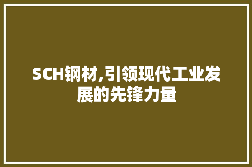 SCH钢材,引领现代工业发展的先锋力量