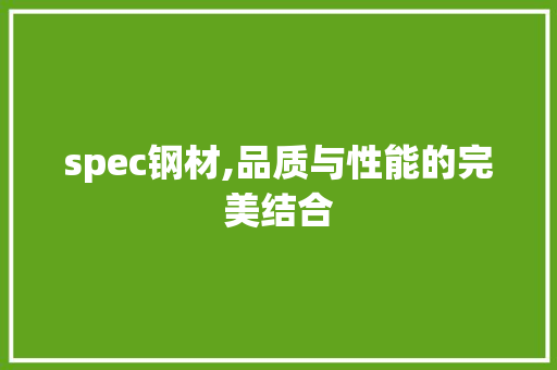 spec钢材,品质与性能的完美结合 地面装修