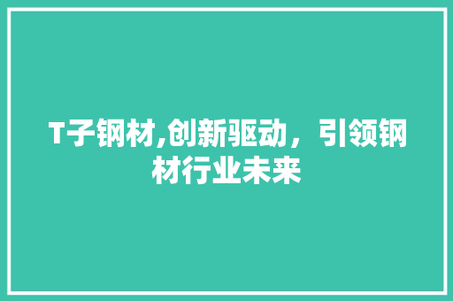 T子钢材,创新驱动，引领钢材行业未来