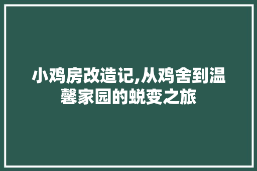 小鸡房改造记,从鸡舍到温馨家园的蜕变之旅