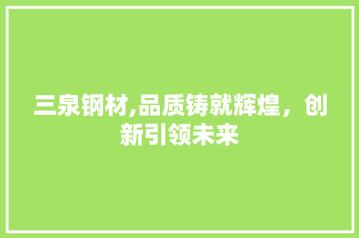 三泉钢材,品质铸就辉煌，创新引领未来 庭院装修
