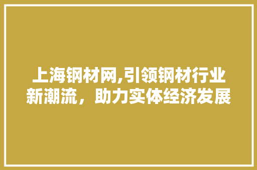 上海钢材网,引领钢材行业新潮流，助力实体经济发展