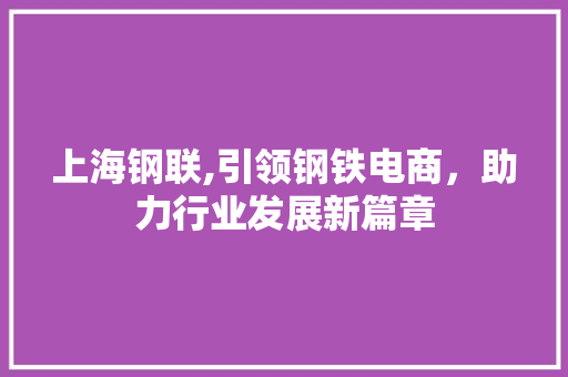 上海钢联,引领钢铁电商，助力行业发展新篇章