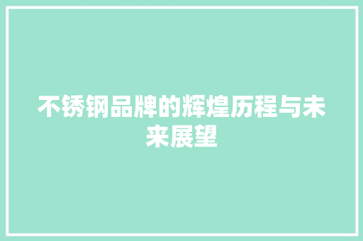 不锈钢品牌的辉煌历程与未来展望