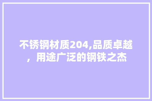 不锈钢材质204,品质卓越，用途广泛的钢铁之杰