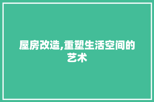 屋房改造,重塑生活空间的艺术