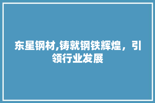 东星钢材,铸就钢铁辉煌，引领行业发展 庭院装修
