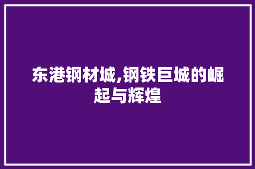 东港钢材城,钢铁巨城的崛起与辉煌 地面装修