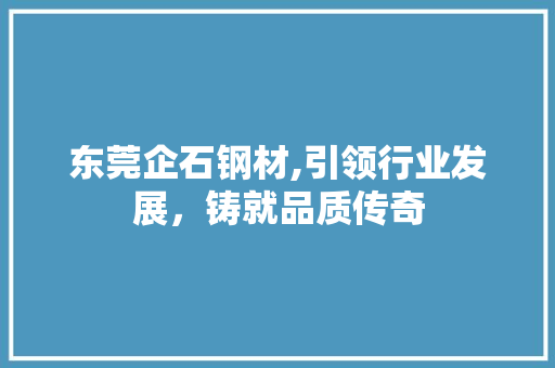 东莞企石钢材,引领行业发展，铸就品质传奇