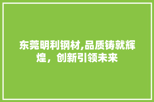 东莞明利钢材,品质铸就辉煌，创新引领未来