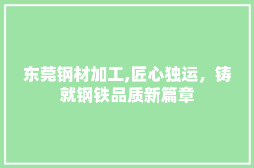 东莞钢材加工,匠心独运,铸就钢铁品质新篇章
