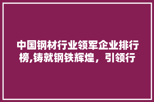 中国钢材行业领军企业排行榜,铸就钢铁辉煌，引领行业发展