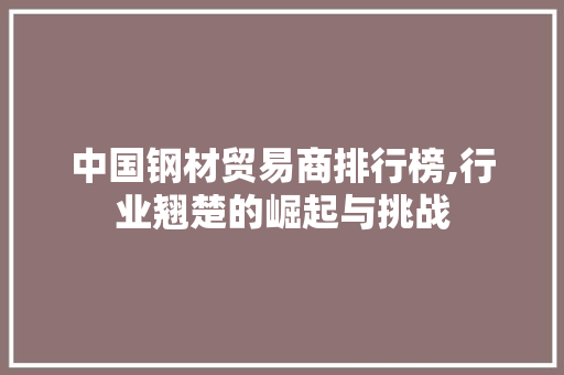 中国钢材贸易商排行榜,行业翘楚的崛起与挑战 墙面装饰