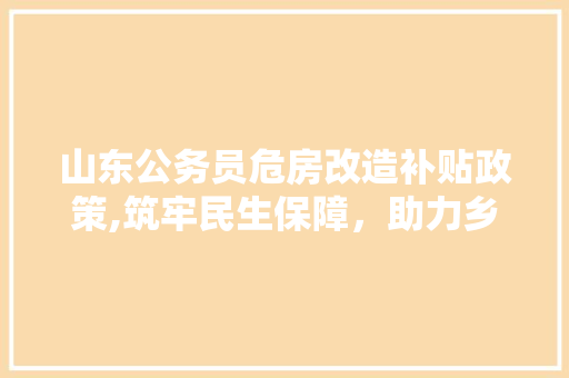 山东公务员危房改造补贴政策,筑牢民生保障，助力乡村振兴