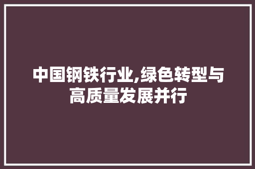 中国钢铁行业,绿色转型与高质量发展并行