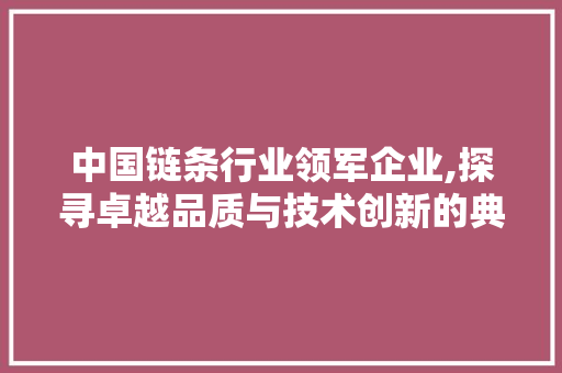 中国链条行业领军企业,探寻卓越品质与技术创新的典范 装修材料