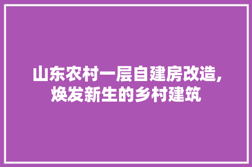 山东农村一层自建房改造,焕发新生的乡村建筑