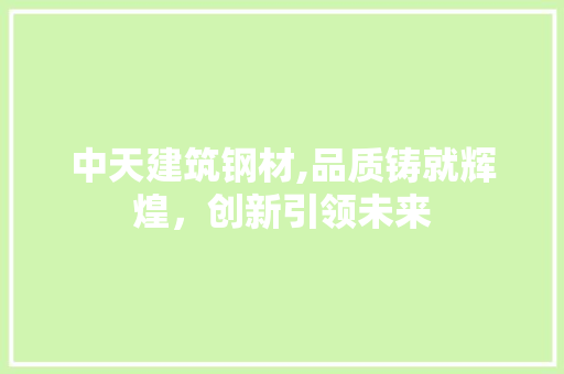 中天建筑钢材,品质铸就辉煌,创新引领未来