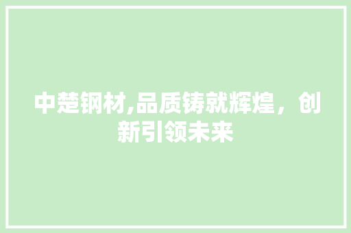 中楚钢材,品质铸就辉煌，创新引领未来