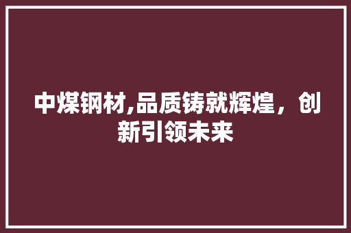 中煤钢材,品质铸就辉煌，创新引领未来