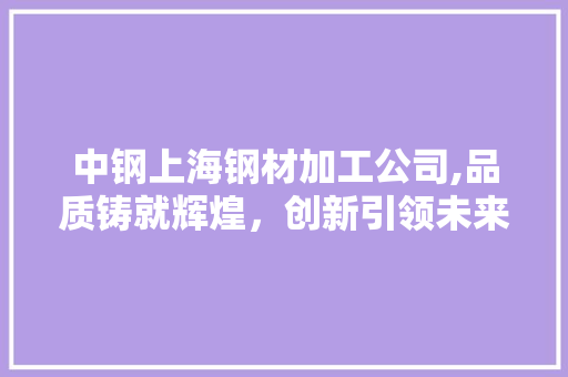 中钢上海钢材加工公司,品质铸就辉煌，创新引领未来