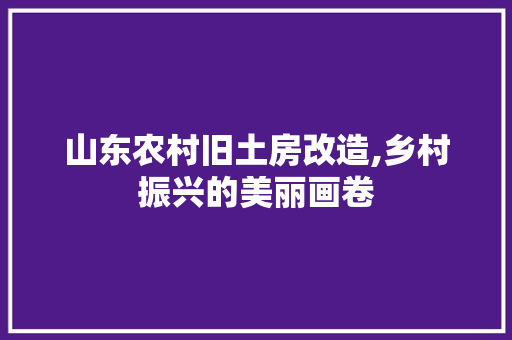 山东农村旧土房改造,乡村振兴的美丽画卷