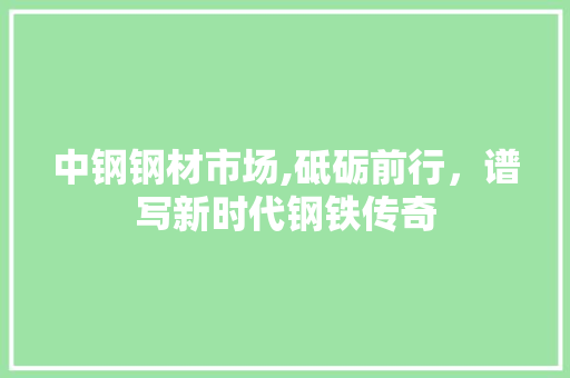 中钢钢材市场,砥砺前行，谱写新时代钢铁传奇