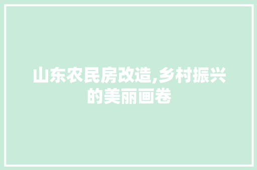 山东农民房改造,乡村振兴的美丽画卷