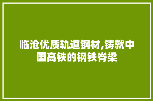 临沧优质轨道钢材,铸就中国高铁的钢铁脊梁 隔断设计