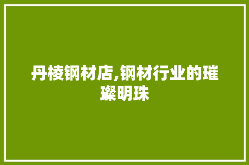 丹棱钢材店,钢材行业的璀璨明珠