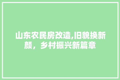 山东农民房改造,旧貌换新颜，乡村振兴新篇章