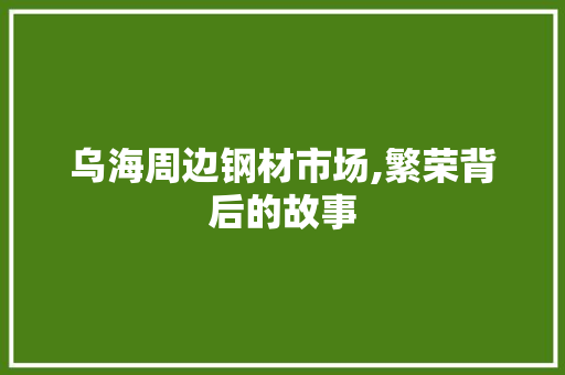 乌海周边钢材市场,繁荣背后的故事