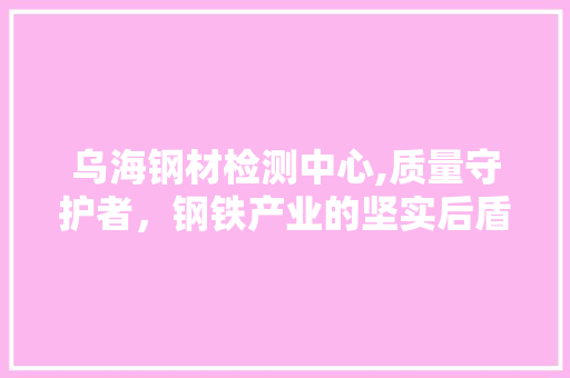 乌海钢材检测中心,质量守护者，钢铁产业的坚实后盾