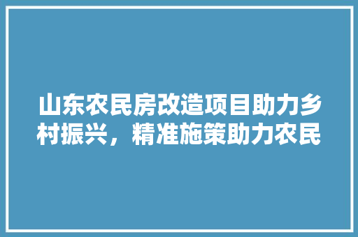 山东农民房改造项目助力乡村振兴，精准施策助力农民安居乐业 景观设计