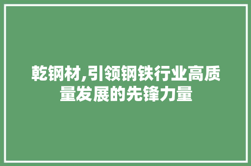 乾钢材,引领钢铁行业高质量发展的先锋力量