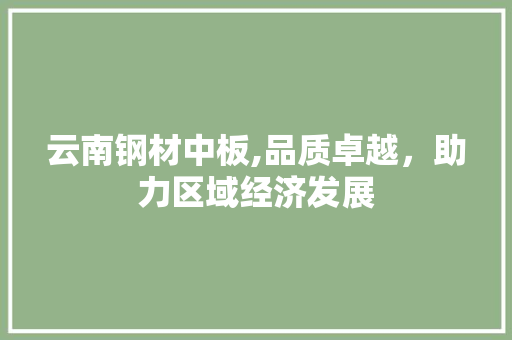 云南钢材中板,品质卓越，助力区域经济发展