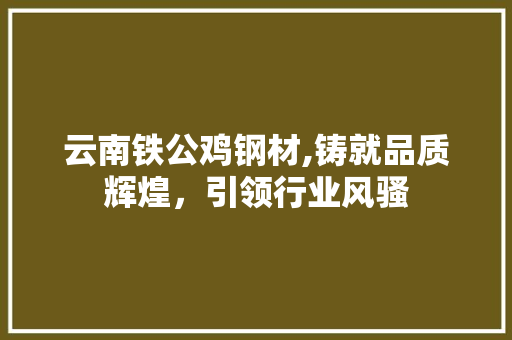 云南铁公鸡钢材,铸就品质辉煌，引领行业风骚