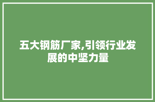 五大钢筋厂家,引领行业发展的中坚力量