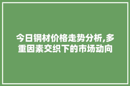 今日钢材价格走势分析,多重因素交织下的市场动向