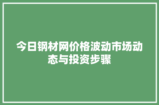 今日钢材网价格波动市场动态与投资步骤