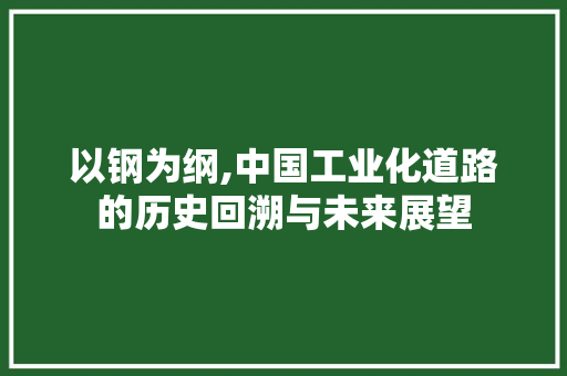 以钢为纲,中国工业化道路的历史回溯与未来展望
