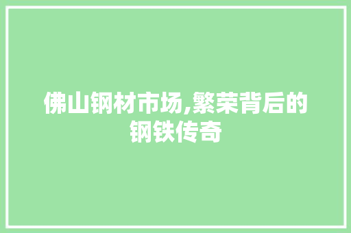 佛山钢材市场,繁荣背后的钢铁传奇