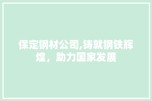 保定钢材公司,铸就钢铁辉煌，助力国家发展