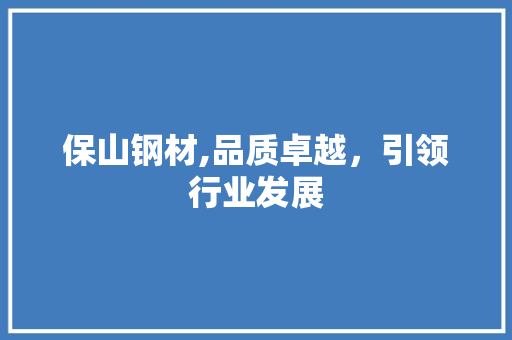 保山钢材,品质卓越，引领行业发展