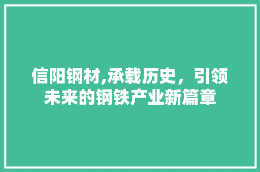 信阳钢材,承载历史，引领未来的钢铁产业新篇章